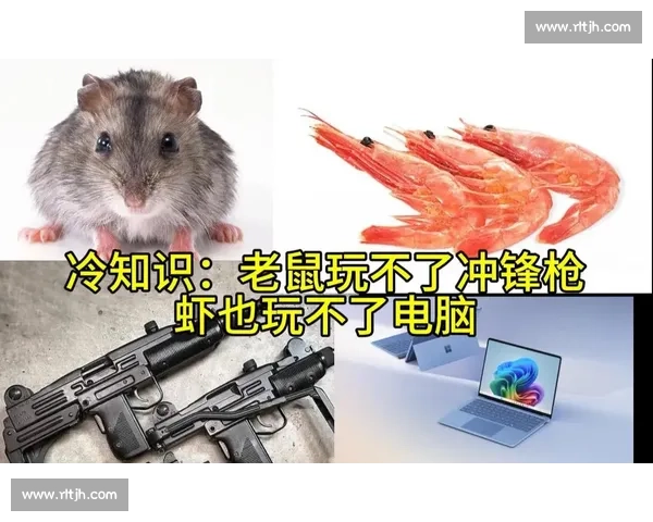罗根艾尔索vs方便巅峰对决背后隐藏的战术博弈与胜负关键解析
